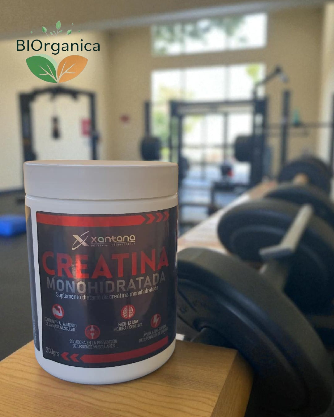 Creatina Monohidratada 100% pura